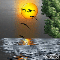 морские зарисовки - Darmowy animowany GIF