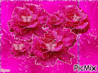 PINK ROSE - GIF animasi gratis