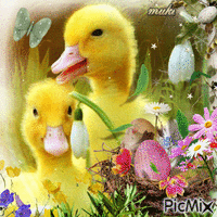 Happy Easter ♥♥♥ анимированный гифка