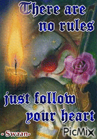 Follow your heart - Free animated GIF