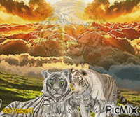 Tigres анимиран GIF