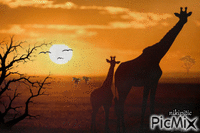 africa - Free animated GIF