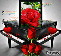 Rose and Music - Free animated GIF