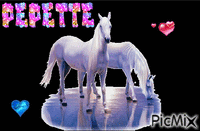 pêpette - 無料のアニメーション GIF