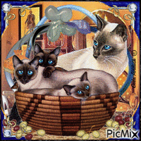 FAMILLE DE CHATS - Free animated GIF