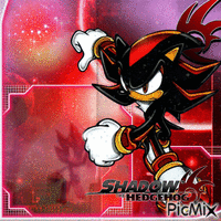 Shadow the Hedgehog - GIF animé gratuit
