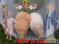 Mary with hamsters - Gratis animeret GIF