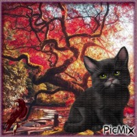 Le chat noir. - ücretsiz png