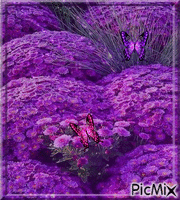 Belles fleurs animovaný GIF