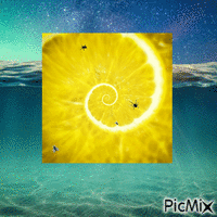 lemon with Insects animuotas GIF
