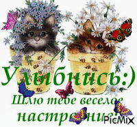 котята - Ingyenes animált GIF