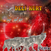 DELİ KURT - 無料のアニメーション GIF