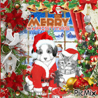 ☆☆MERRY CHRISTMAS CAT AND DOG☆☆ GIF animasi