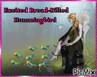 Hummingbird - Безплатен анимиран GIF