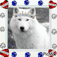 White Wolf12 - GIF animado gratis