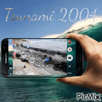catastrophe : tsunami 2004