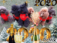 Nowy Rok 2020 - Ingyenes animált GIF