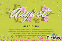 AUGUST - Free animated GIF