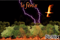 le Fénix - Бесплатный анимированный гифка