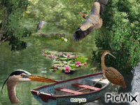 herons Animated GIF