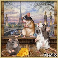 Les rats. - png gratis