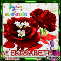 joyeux anniversaire  Elisabeth