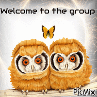 welcome owl GIF animado