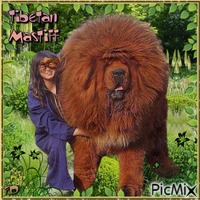 Die grössten Hunde der Welt - 無料png