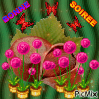 SOIREE 25 04 - GIF animado gratis