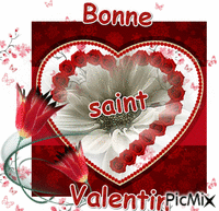 saint valentin - Ilmainen animoitu GIF
