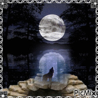 Nuit éclairée par la lune - Бесплатный анимированный гифка