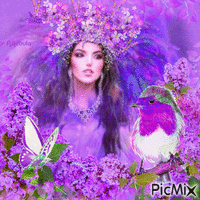 woman-Lilac Animated GIF