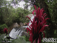 Cachoeira -Trilha Sete Montanhas - JL - Бесплатный анимированный гифка