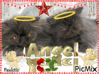mes anges - Δωρεάν κινούμενο GIF