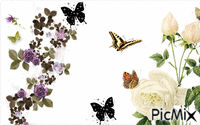 Butterfly Mix 动画 GIF
