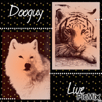 Dooguy-Live - Δωρεάν κινούμενο GIF
