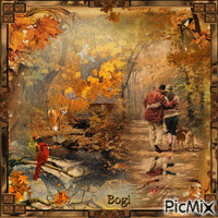 A beautiful autumn forest... - Бесплатни анимирани ГИФ