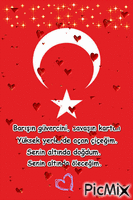 turkey flag - Nemokamas animacinis gif