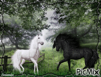 two horses - GIF animado gratis