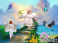 les anges - Zdarma animovaný GIF