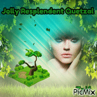 Jolly Resplendent quetzal - GIF animé gratuit