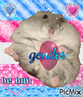 gender - Ilmainen animoitu GIF