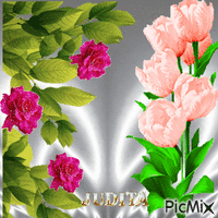 ruža - Ingyenes animált GIF