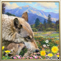 Les loups au printemps - Δωρεάν κινούμενο GIF
