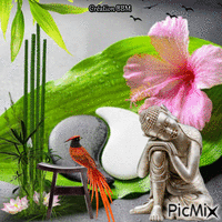 Zen par BBM animovaný GIF