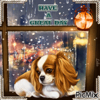Have a great day. Window. Dog