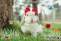Bunny Kiss GIF animata