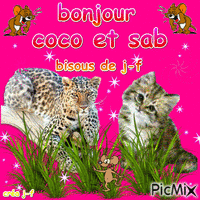 bonjour coco et sab animovaný GIF