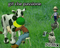 gif che passione - Darmowy animowany GIF
