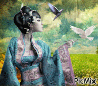 Concours La magie des colombes GIF animasi
